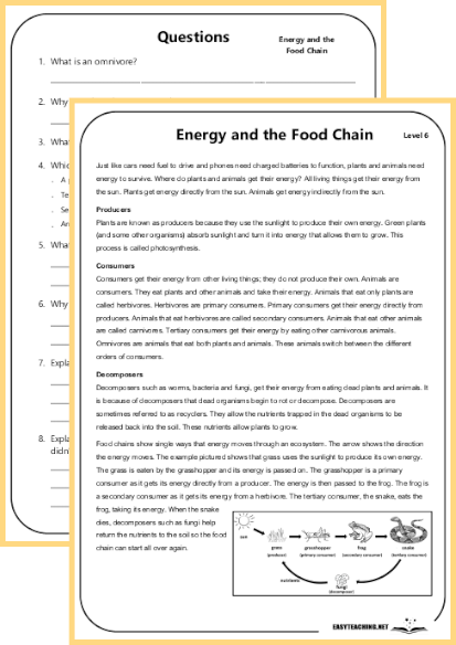 Fourth Grade Reading Comprehension: Food Webs Worksheet Image 6 Colorful food webs worksheet designed for fourth graders to enhance reading comprehension skills
