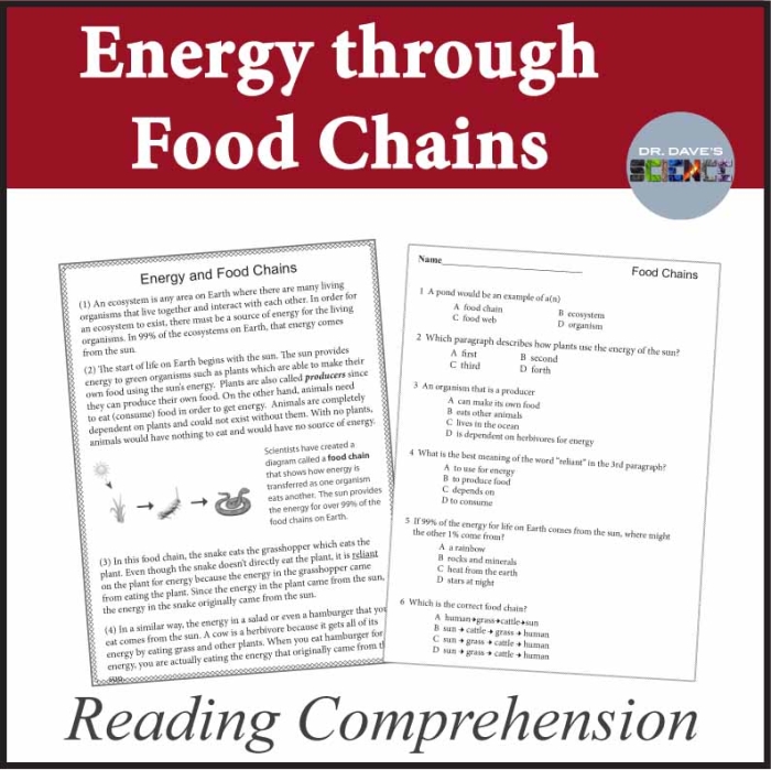 Food webs reading comprehension worksheet for grade four, page 2 Illustration of a food web diagram included in a fourth-grade reading comprehension worksheet