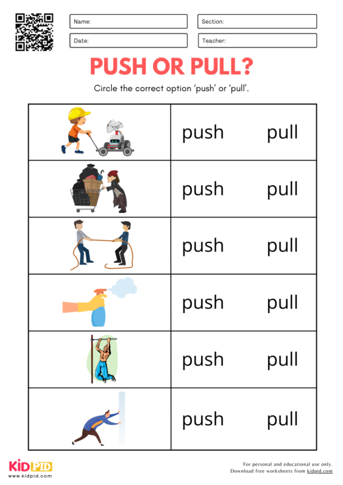 Identify Pushes and Pulls worksheet for young learners exploring forces