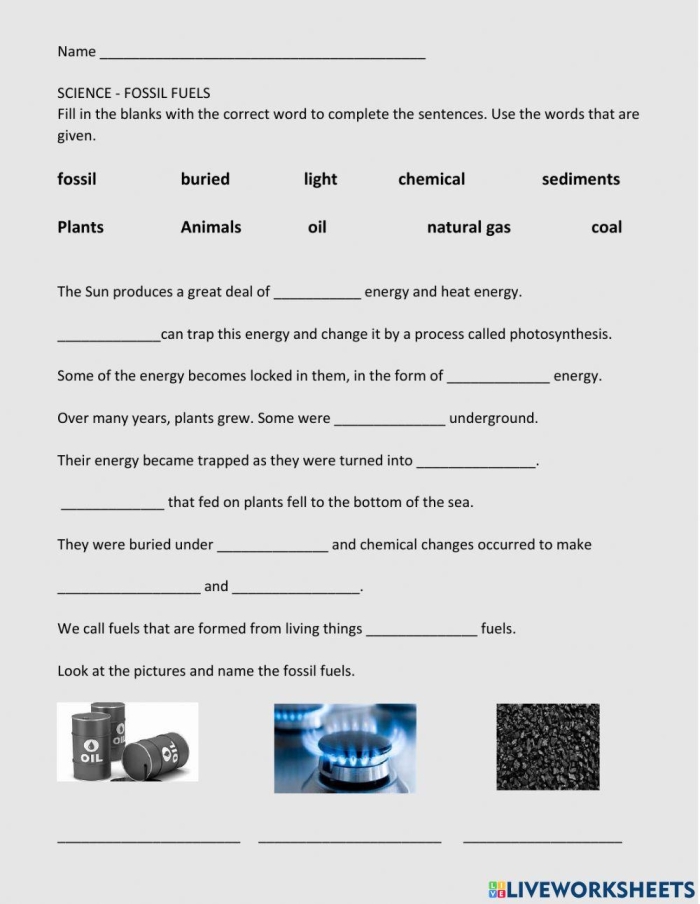 Human Impact of Fossil Fuels Educational Worksheet for Middle School Sixth grade students examining fossil fuel sources and environmental impact during science lesson
