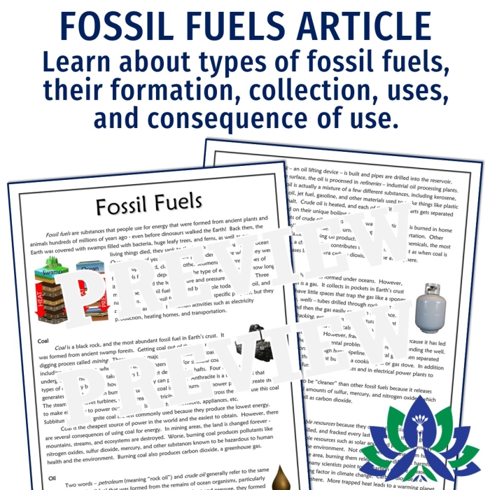 Human Impact Fossil Fuels Worksheet 19 A sixth grade history worksheet featuring research questions and facts about the human impact of fossil fuels
