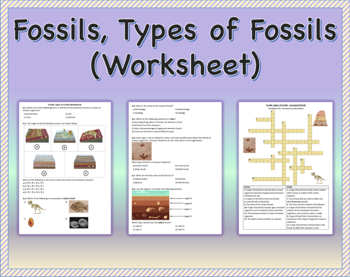Human Impact Fossil Fuels History Worksheet 21 Sixth grade students analyzing the environmental effects of fossil fuels on this history research worksheet