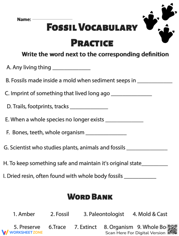 Human Impact Fossil Fuels worksheet number twenty for history students Sixth grade history worksheet about the environmental effects of burning fossil fuels