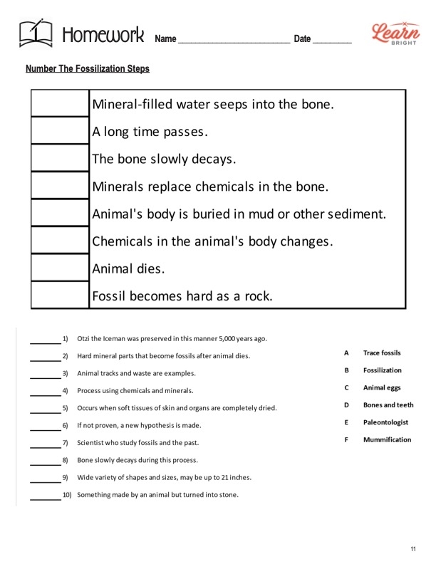 Worksheet for analyzing the fossil record in a sixth-grade life science class