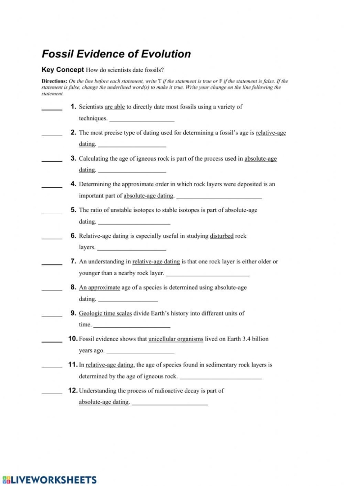 Explore evolution through fossils in this engaging educational resource Detailed worksheet on the fossil record and evolution for sixth graders