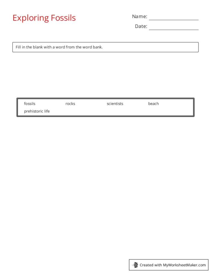 Sixth grade students analyzing the fossil record on a geometry-themed science worksheet