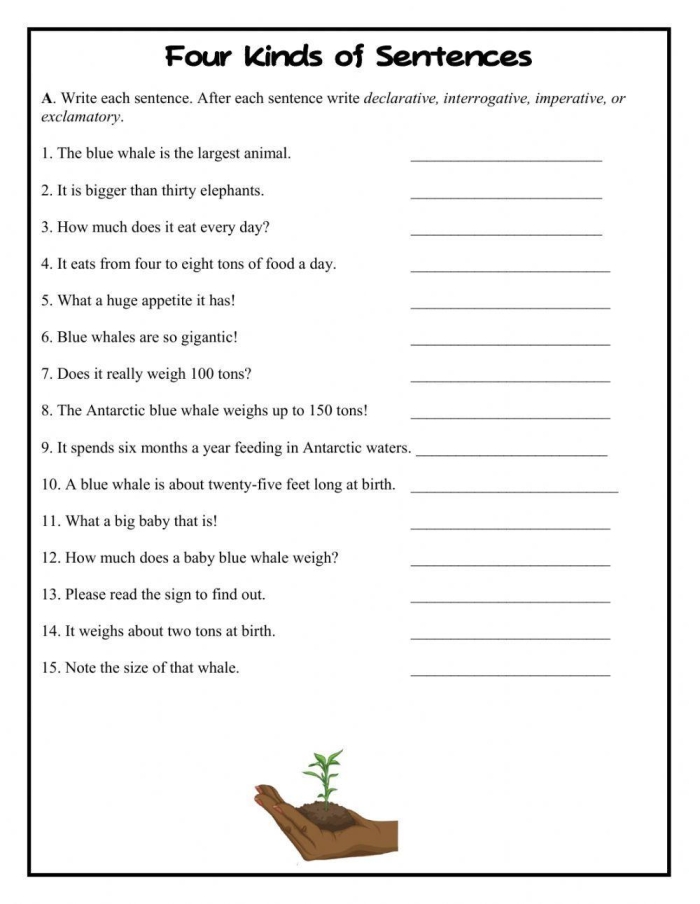 The Four Types of Sentences Worksheet for 4th Grade EL Learners 7 Fourth grade handwriting worksheet covering declarative, imperative, exclamatory, and interrogative sentences