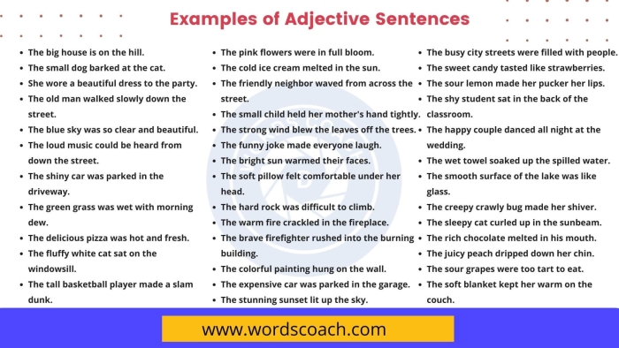 Fix the Sentences: Adjective Order worksheet for fourth-grade students Worksheet for fourth graders focusing on the correct order of adjectives in sentences