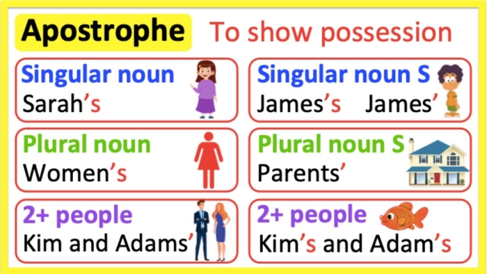 Singular and Plural Possessives Apostrophe Practice Activity 5 Fourth grade phonics worksheet showing practice exercises for converting singular and plural nouns into possessive forms with apostrophe placement rules