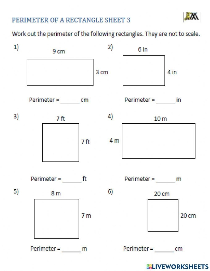 Fourth grade student identifying length and width dimensions on a rectangle to solve for area in a geometry worksheet