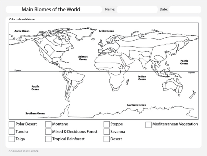 World Biomes Distribution Map for Geography Worksheet 7 Map of terrestrial biomes showing different climate zones and ecosystems across continents for fourth grade geography study