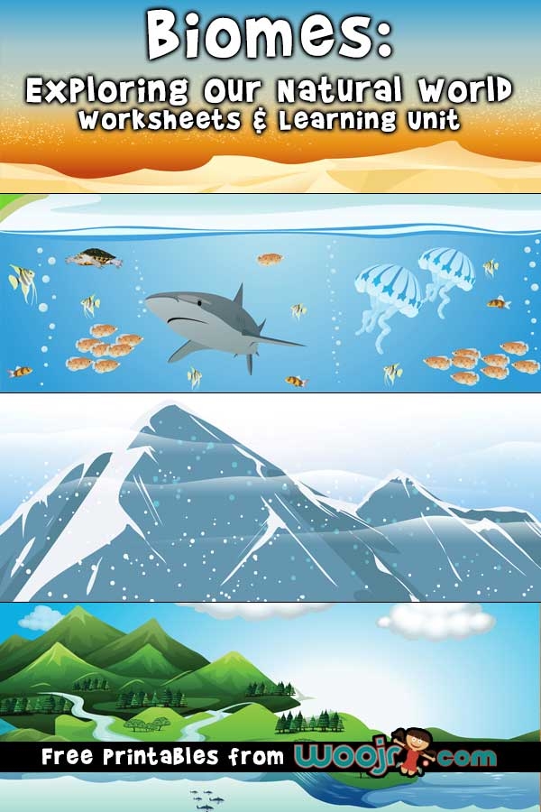 World Biomes Distribution Map for Geography Worksheet 9 Map of terrestrial biomes showing different climate zones and vegetation regions across continents for fourth grade geography study