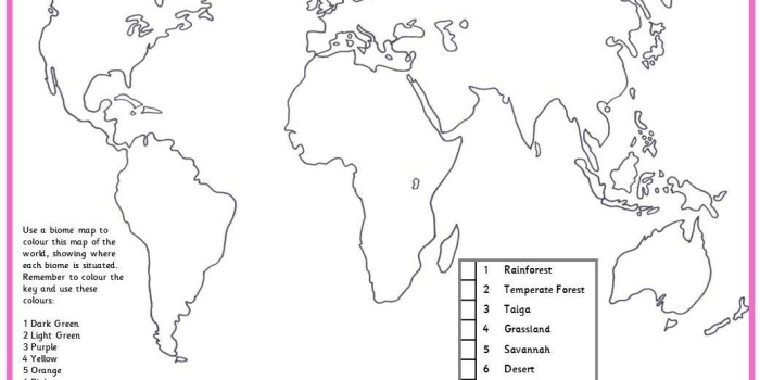 Biomes of the World Map Exercise for 4th Grade Geography Fourth grade geography worksheet featuring a color-coded map to identify different terrestrial biomes of the world