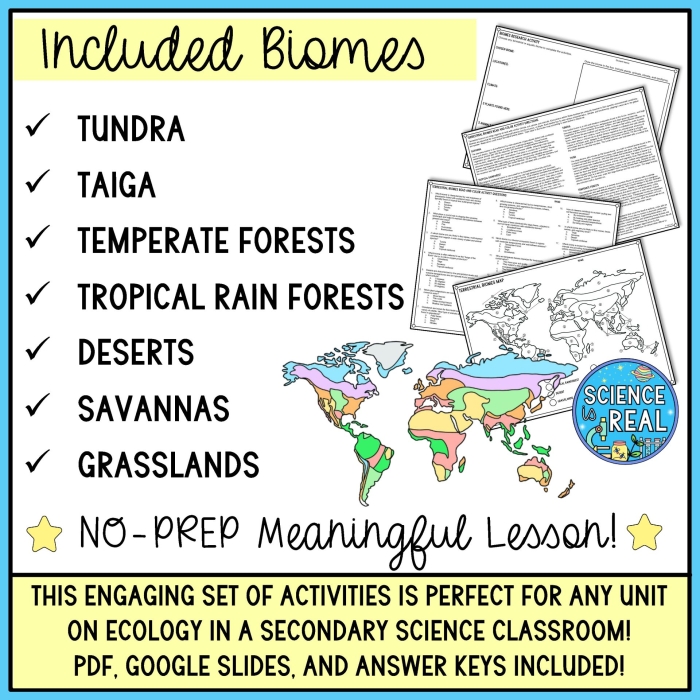 Biomes of the World map activity page 10 for elementary geography students Fourth grade geography worksheet showing a colored map of global terrestrial biomes for student exercises