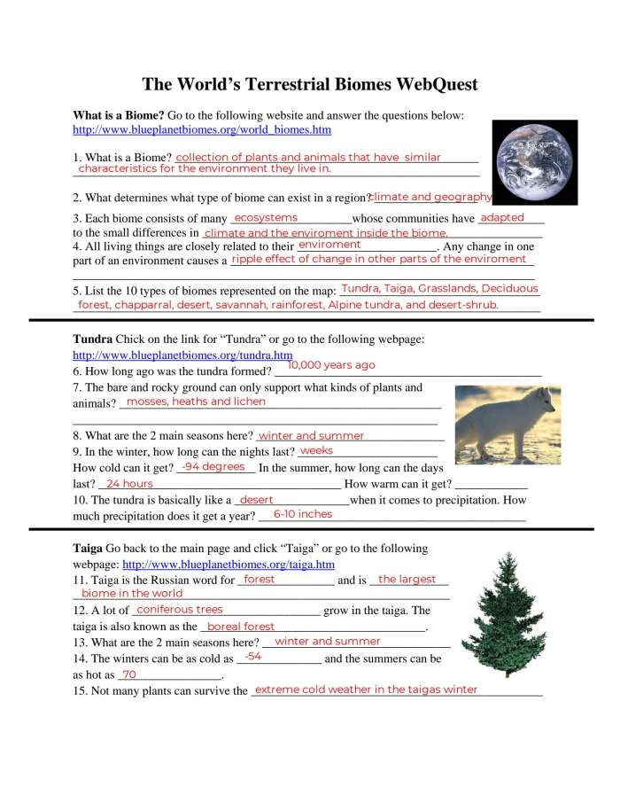 Terrestrial Biomes World Map - Geography Worksheet 17 Map of terrestrial biomes showing different climate zones and vegetation regions across continents for fourth grade geography study
