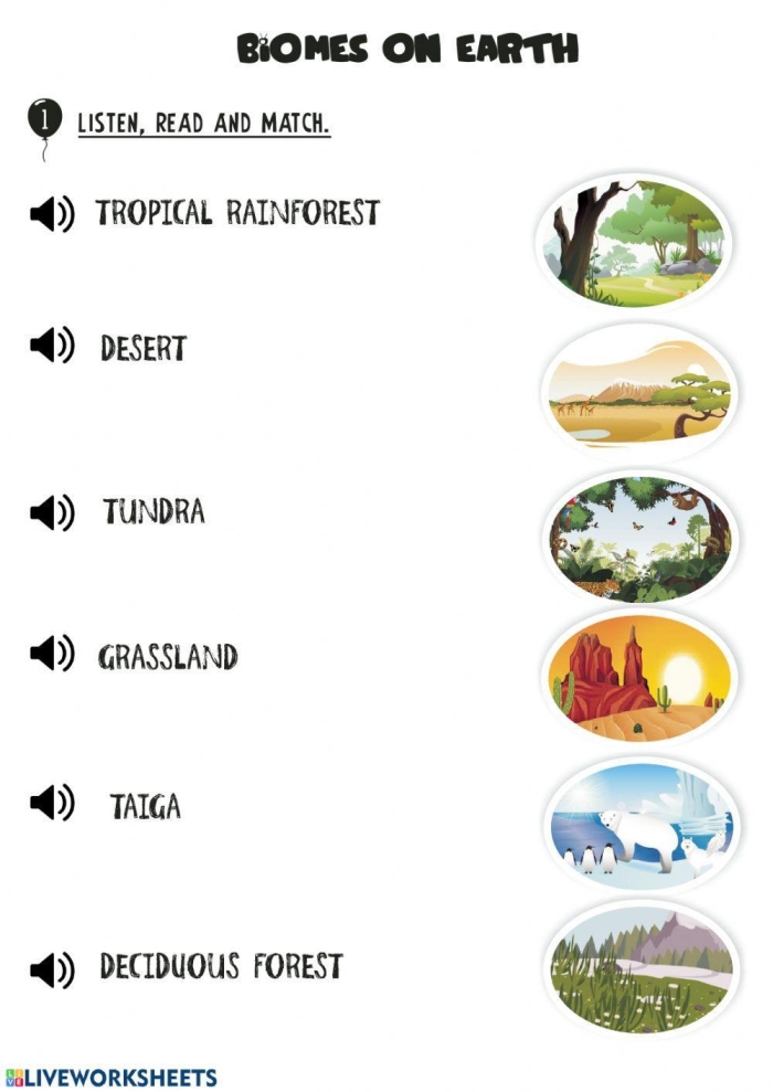 Biomes of the World Geography Worksheet for Grade 4 Fourth grade students identifying different terrestrial biomes on a colorful world map worksheet