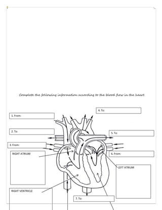 Colorful illustration of blood components and their functions in the circulatory system for a fourth-grade worksheet. Educational resource highlighting the structure and role of blood in life science studies.
