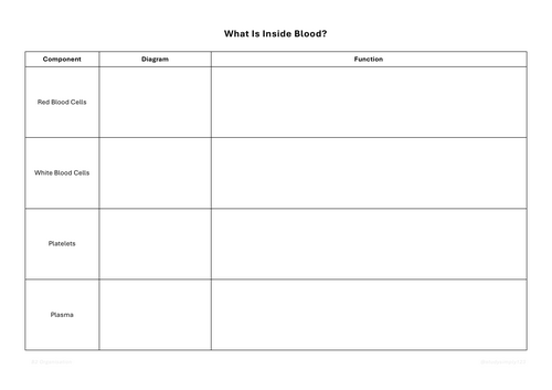 Detailed illustration of blood components for a fourth-grade life science worksheet