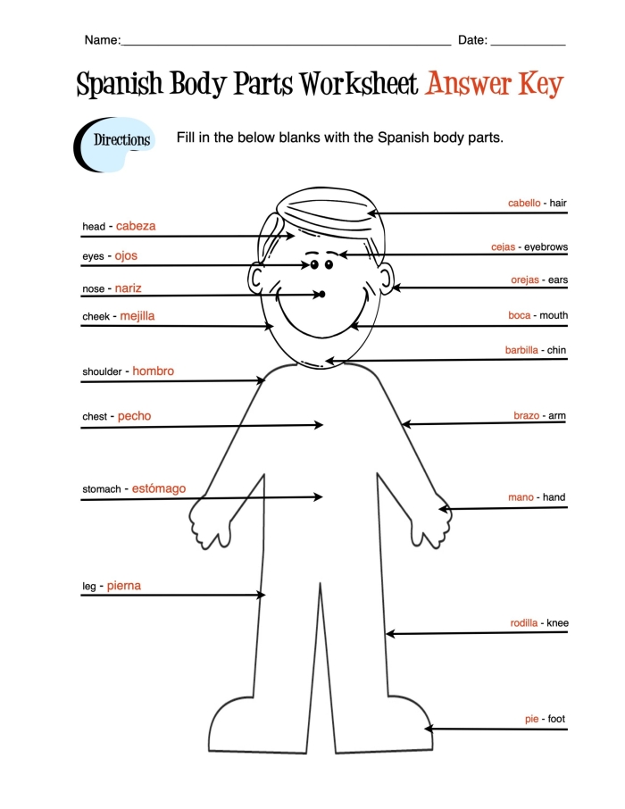Interactive worksheet to learn body parts in Spanish through engaging activities Body Parts in Spanish fill-in-the-blanks worksheet for fourth graders