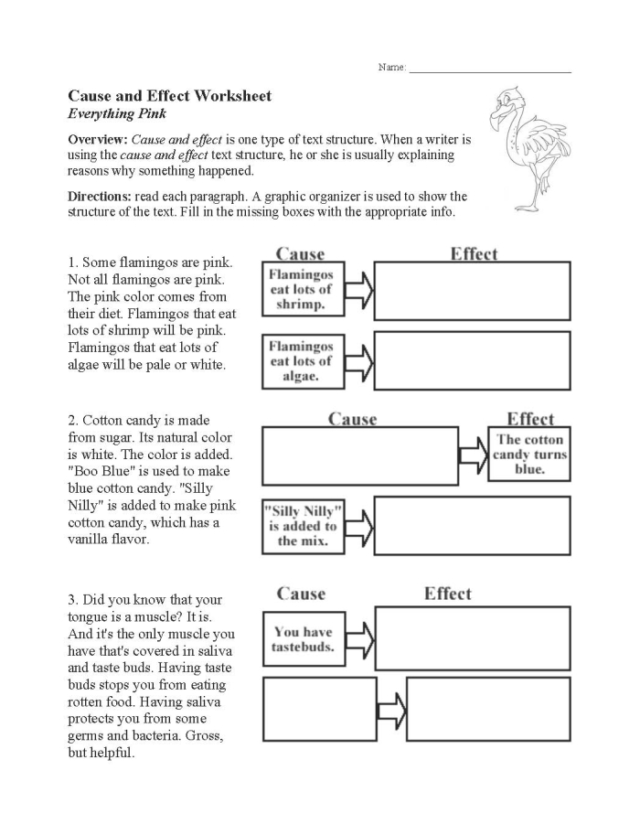 Cause and Effect: Structure worksheet for classroom use Worksheet for fourth graders focusing on cause and effect text structure analysis