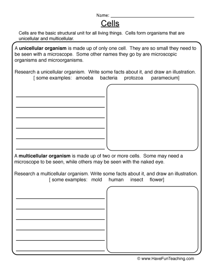 Fourth grade science worksheet introducing the basic building blocks of living cells