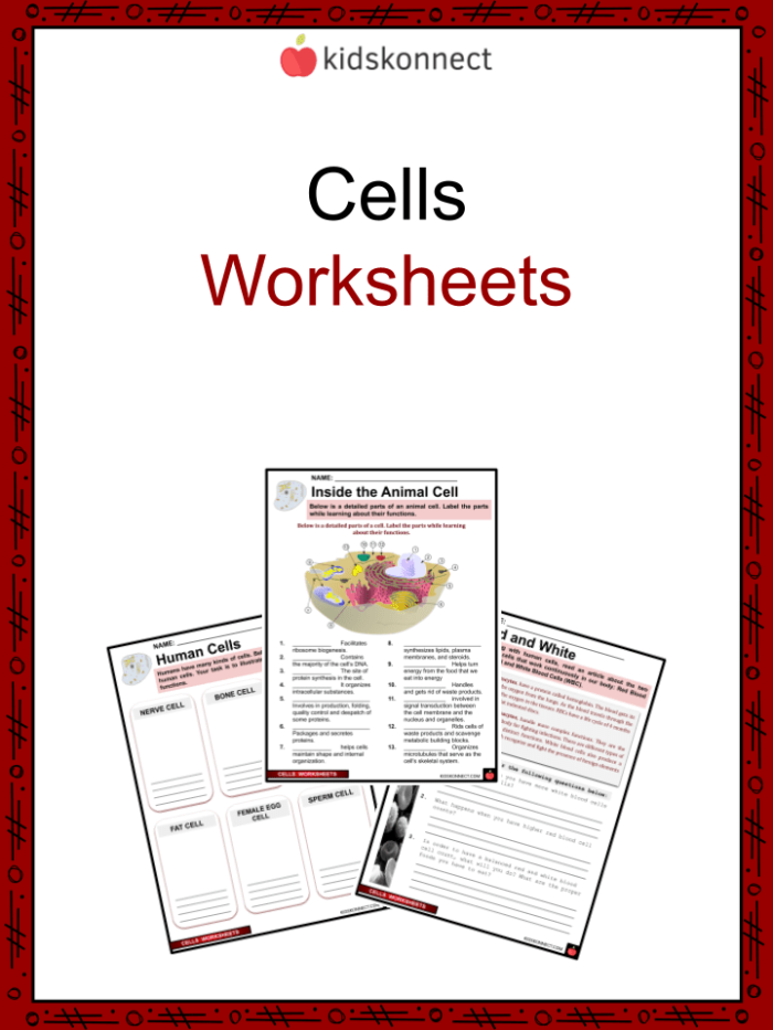 Fourth grade student completing a cell structure worksheet with diagrams and fill-in-the-blank questions about cell parts
