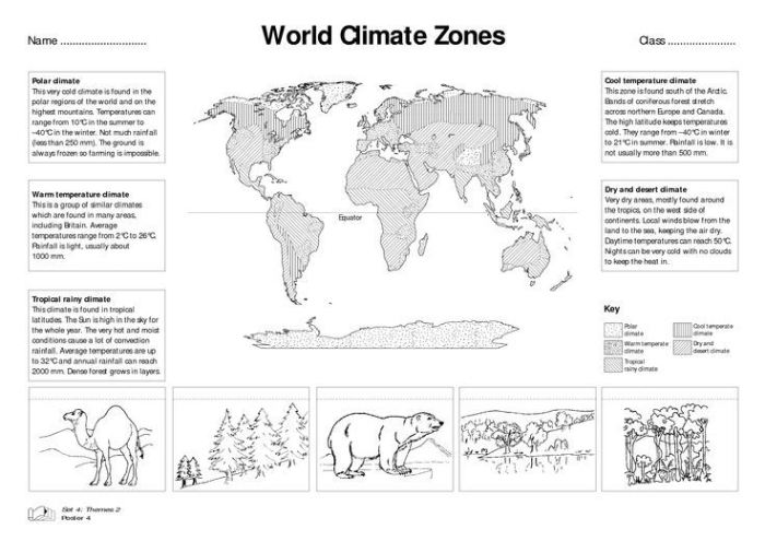 Worksheet illustrating the importance of understanding climate maps in studying geography Detailed climate map of Africa for educational purposes in a fourth-grade worksheet