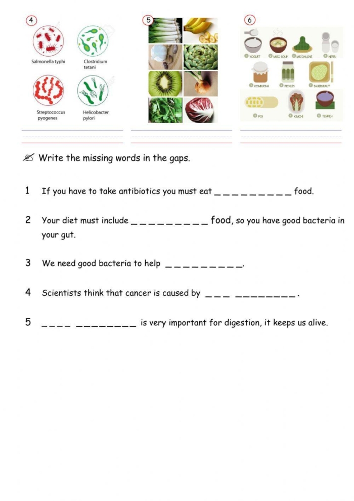 Writing worksheet for Fourth Grade Diagram illustrating the digestive system and the process of digestion for kids. Visual guide to understanding what happens to food after swallowing.