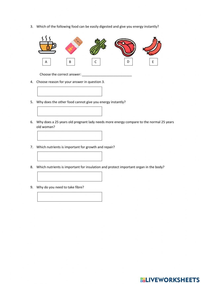 Visual representation of the digestive system for the What is Digestion? worksheet Diagram illustrating the digestive process and how food is processed in the body