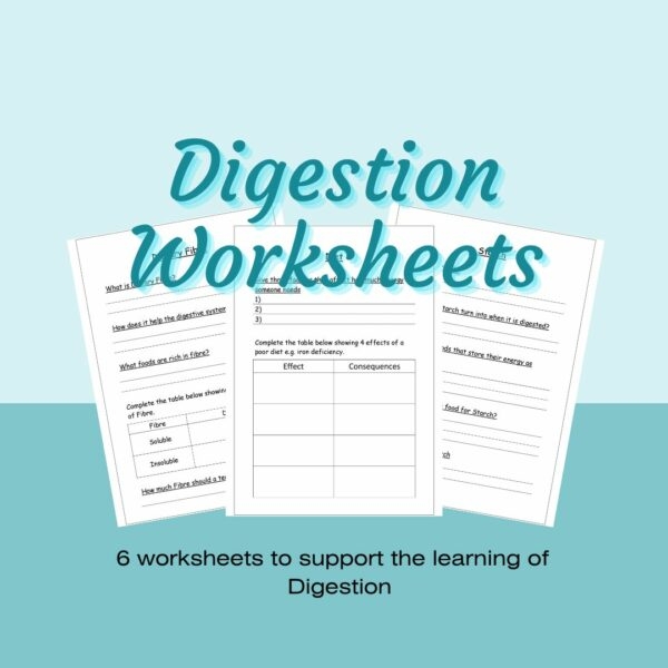 Visual guide for the "What is Digestion?" worksheet for fourth graders Diagram illustrating the digestive process and how food travels through the body