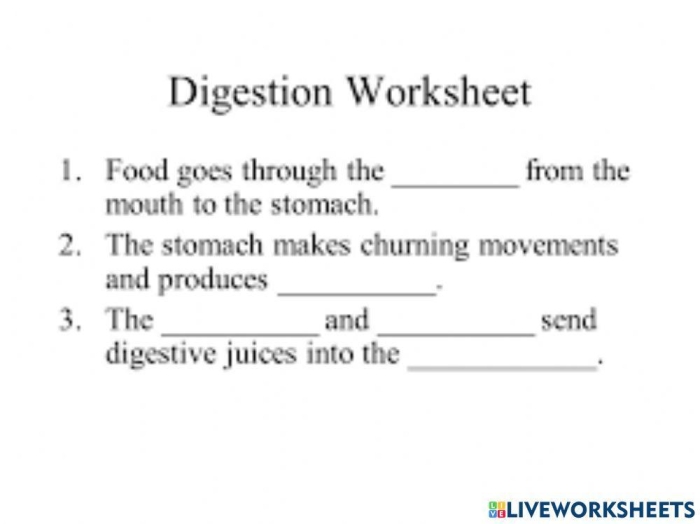 Human Digestion Worksheet Part 6 Digestive System Diagram Fourth grade worksheet illustrating the human digestive system with a labeled diagram
