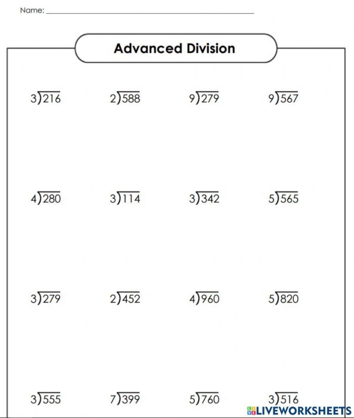 Dividing with Remainders worksheet for grade 4 students Worksheet for practicing division with remainders for fourth graders