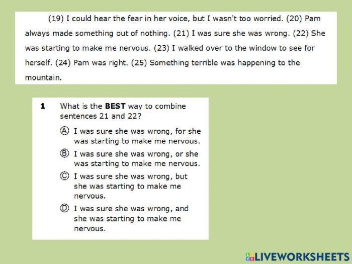 Editing and Revision Practice Worksheet for Subtraction - Image 3 Fourth grade students practicing editing and revision skills on a worksheet focused on subtraction