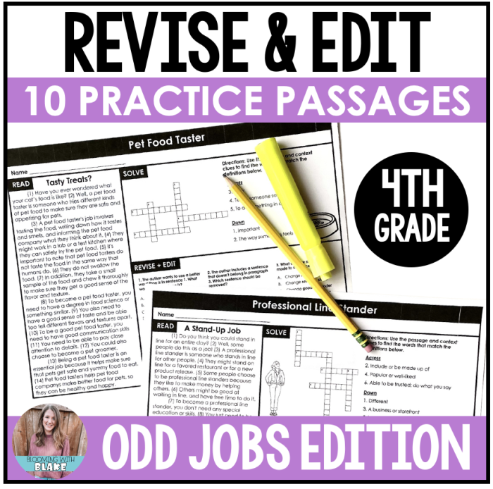 Worksheet image for Editing and Revision Practice focused on grammar and punctuation errors Fourth grade students practicing editing and revision skills using a worksheet with editor's marks