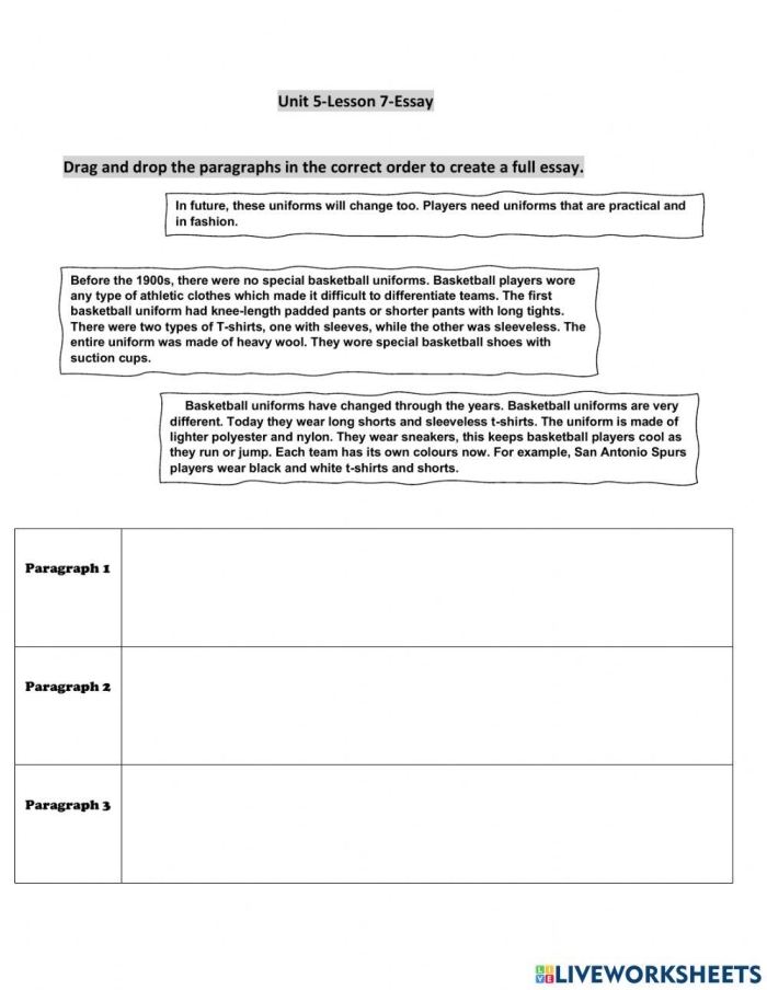 Write Your Essay Worksheet for Fourth Grade Students 21 Fourth grade student filling out the Write Your Essay structured paragraph planning worksheet