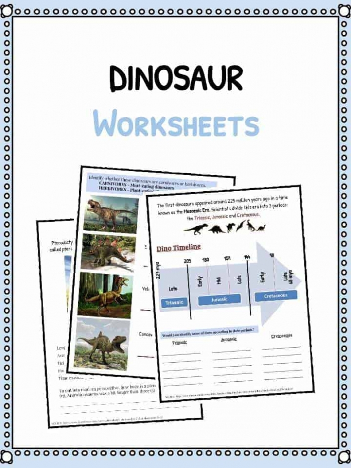 Extinct Birds Comparison Worksheet for Elementary Readers Fourth grade students comparing and contrasting details about extinct birds in nonfiction stories