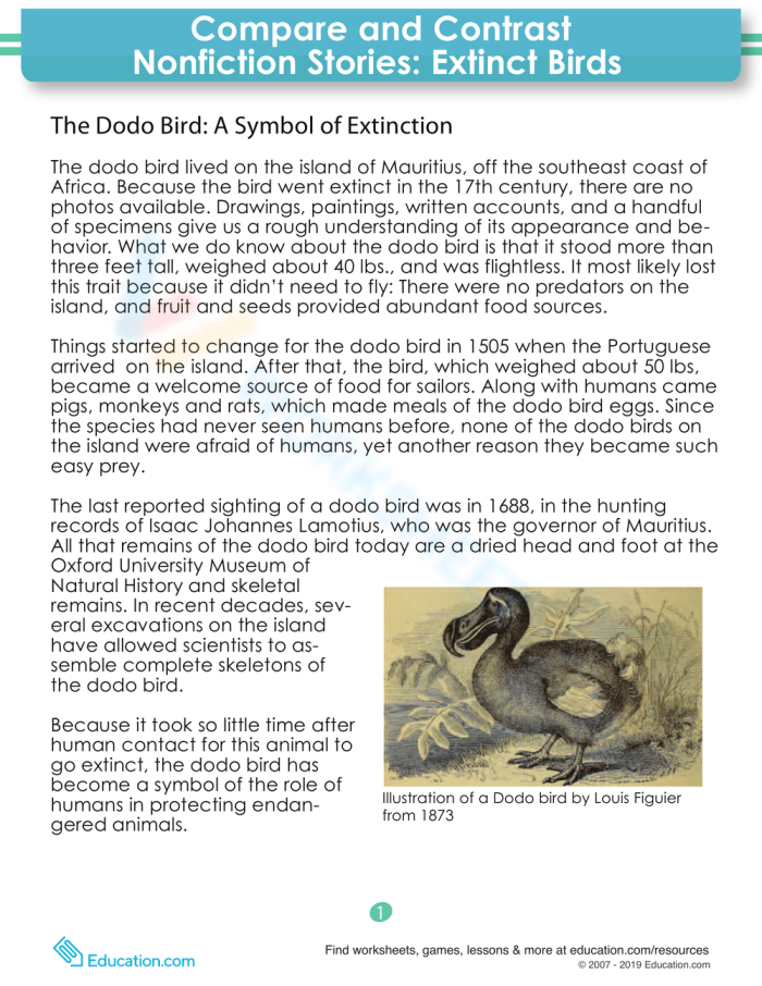 Compare and Contrast Nonfiction Stories Extinct Birds Worksheet 8 Fourth grade worksheet featuring a comparative reading exercise about extinct bird species
