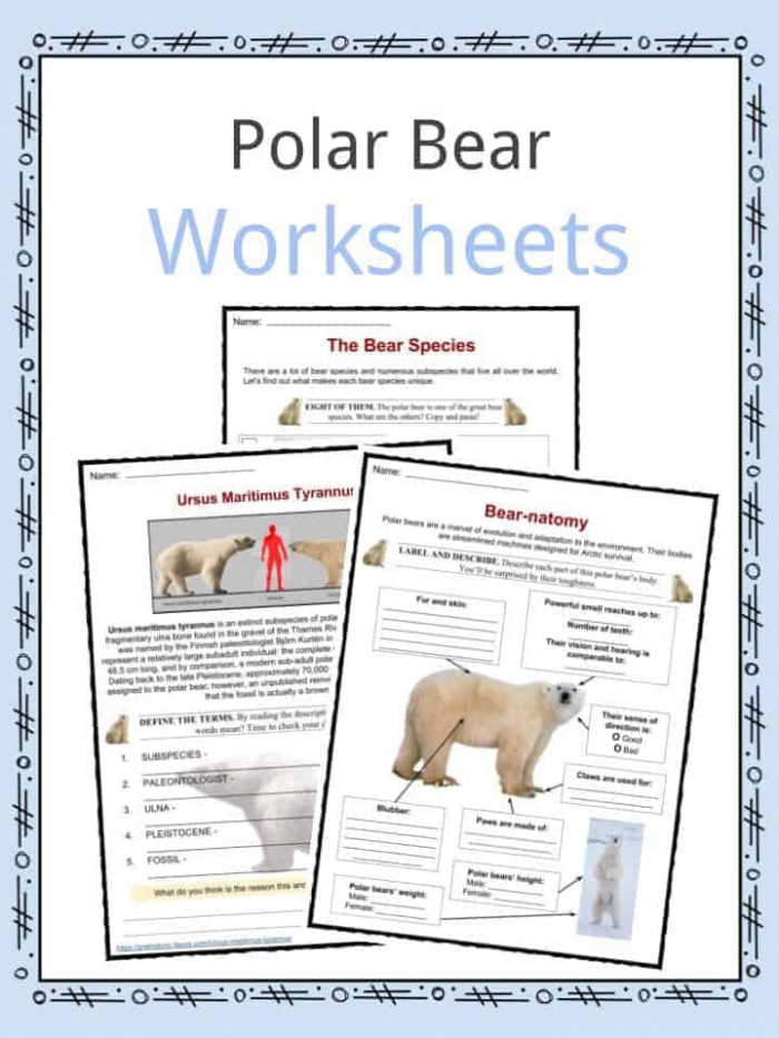 Extinct Birds Comparison Activity for Elementary Learners Fourth grade students comparing and contrasting details from two nonfiction stories about extinct bird species on a practice worksheet
