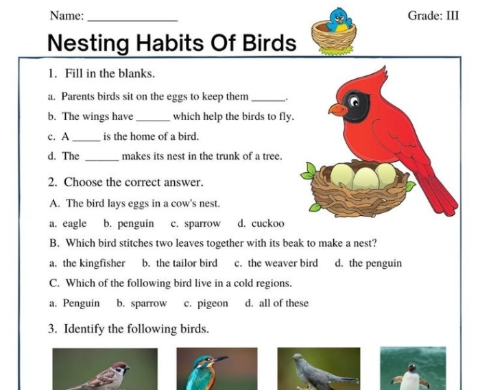Reading for Fluency: The Golden Bird worksheet for improving numbers and counting skills in grade four Worksheet featuring an excerpt from "The Golden Bird" to enhance reading fluency and comprehension for fourth graders