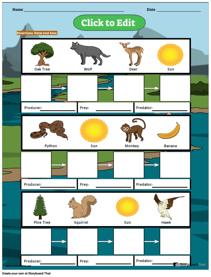 Illustration of a food chain diagram designed for fourth-grade students