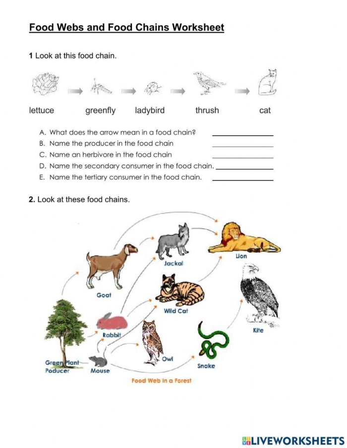 ALT text for a fourth-grade food chains worksheet featuring colorful illustrations of various plants and animals