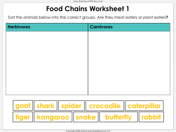 Colorful worksheet for fourth graders focusing on food chains and their components