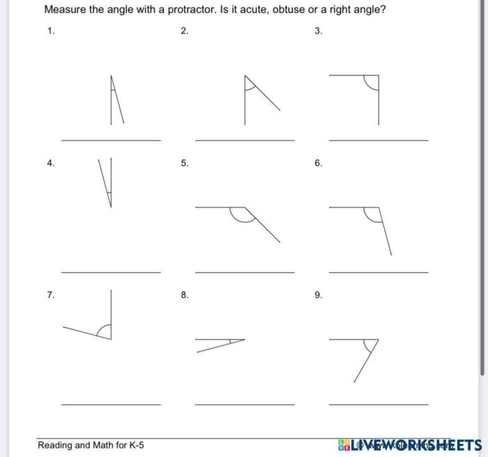 What's the Angle? Geometry Worksheet 25 Fourth grade geometry worksheet featuring various angles for students to measure and identify
