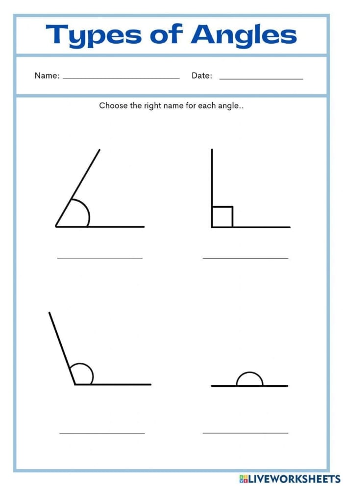 What is the Angle Worksheet Number 10 Geometry Practice Fourth grade student working on a What is the Angle worksheet to solve for missing geometry measurements