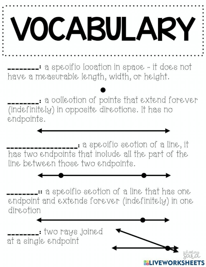 Fourth grade geometry vocabulary cards featuring various types of lines for an educational worksheet
