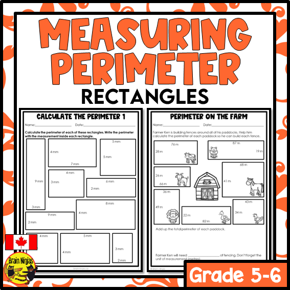 Find the Rectangles Perimeter Worksheet Number 3 Fourth grade student practicing geometry skills by calculating the perimeters of various rectangles on a worksheet