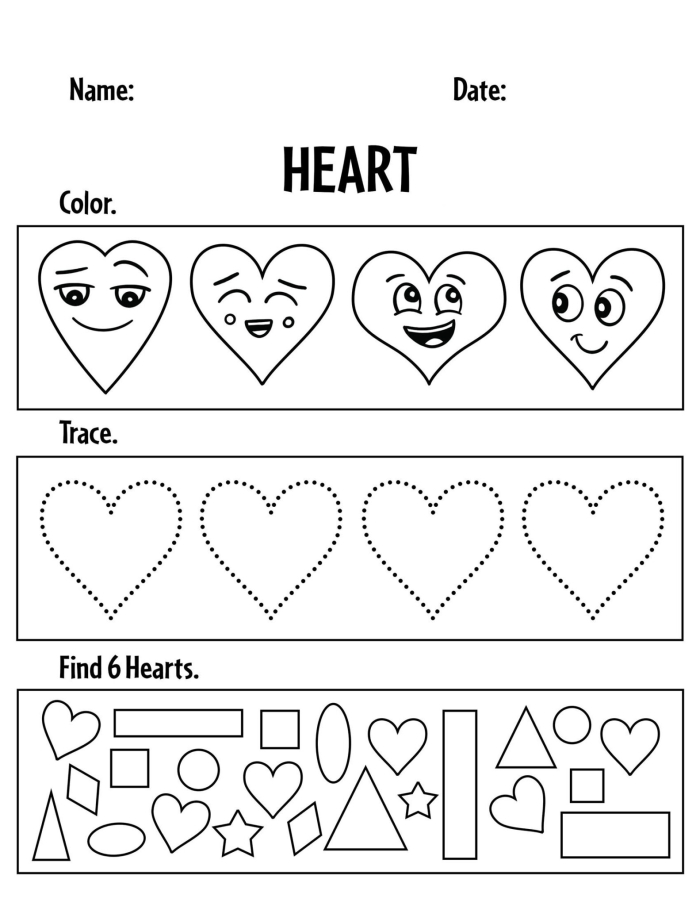 Educational resource for understanding the heart's function and structure Diagram illustrating the heart for a fourth-grade life science worksheet