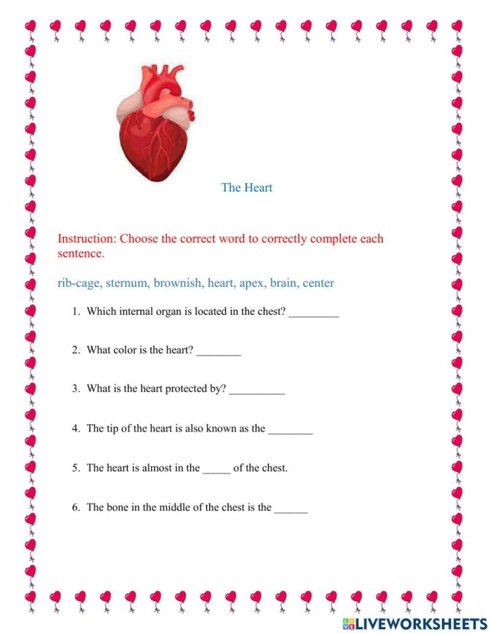 Your Heart Worksheet for Fourth Grade Life Science Learning Diagram of the heart showcasing its structure and functions for educational purposes