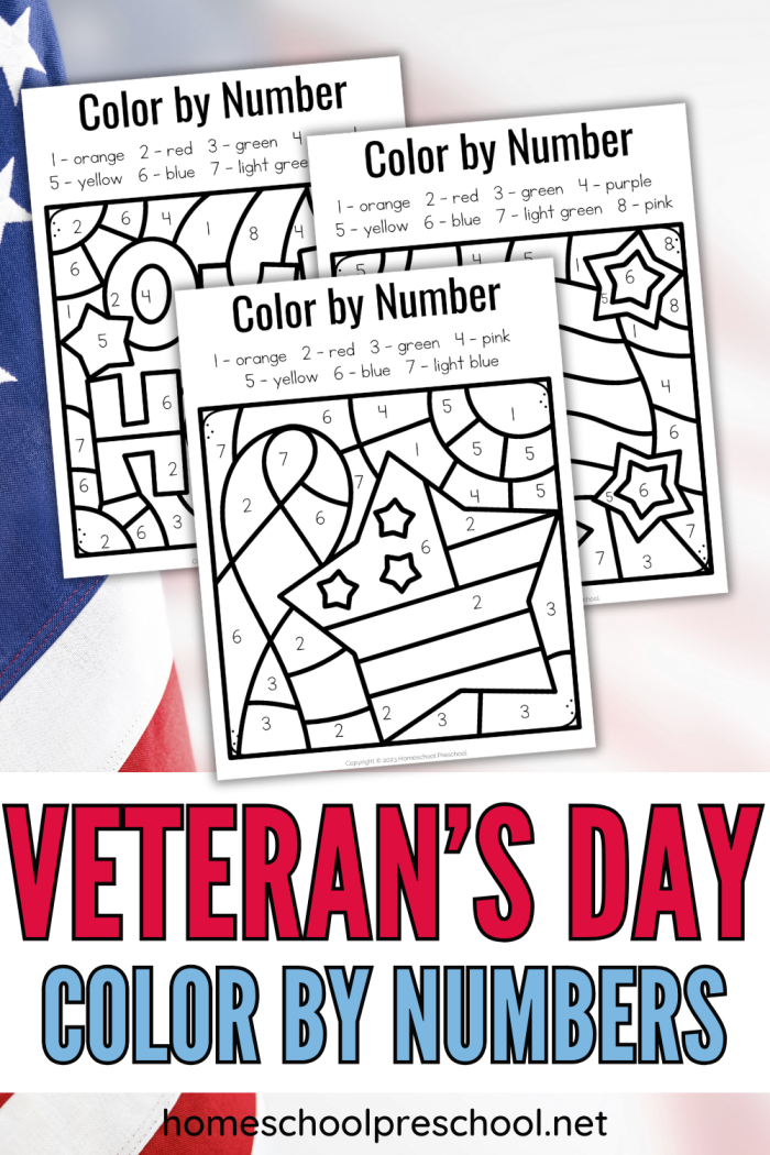 Educational resource for understanding U.S. holidays and their significance Worksheet comparing Memorial Day, Labor Day, and Veterans Day for fourth graders