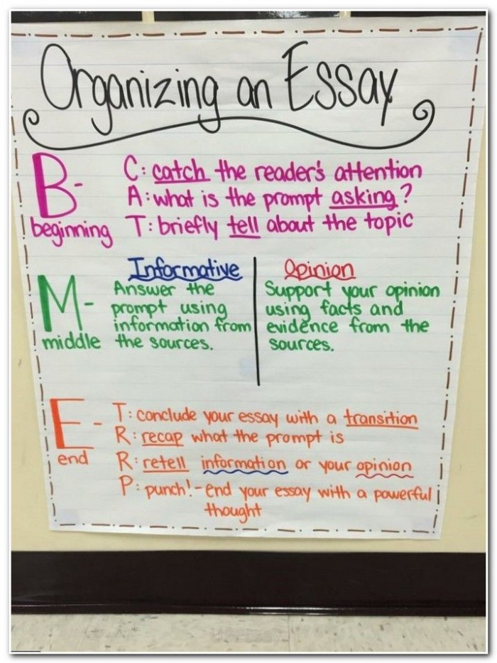Anchor Paper worksheet for understanding the structure of informative essays in grade four. Sample informative essay worksheet for fourth graders focusing on key details and main ideas.